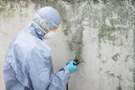 Best Air Quality Testing for Mold Spores  in Clarkson, KY